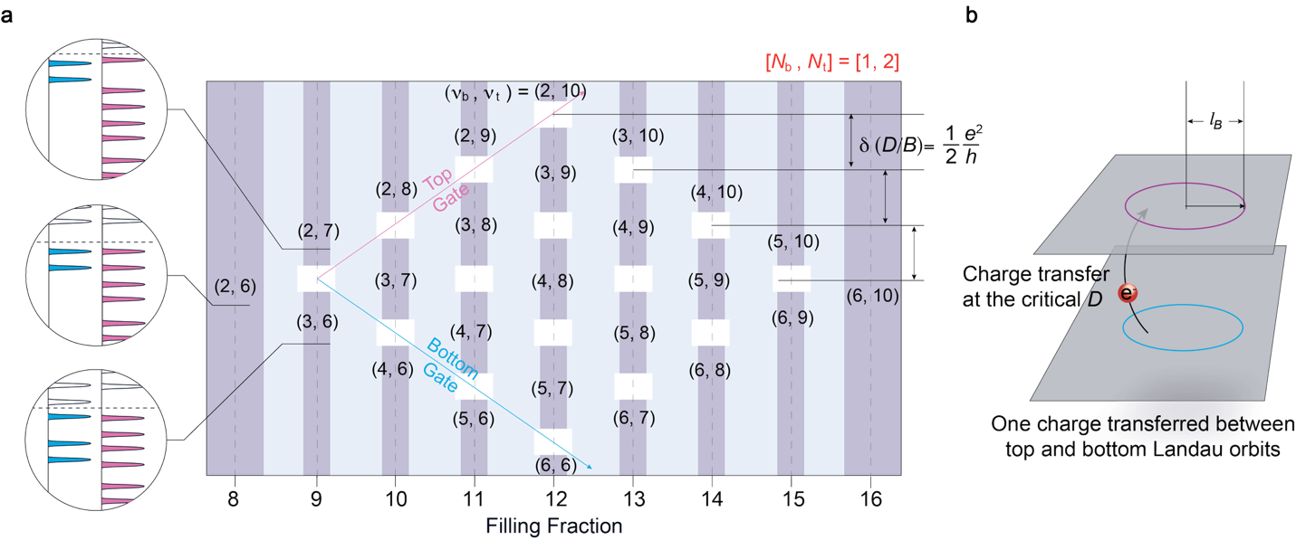 20260121hanzheng02.png